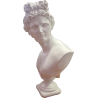 Scultura mezzo busto Dio Apollo